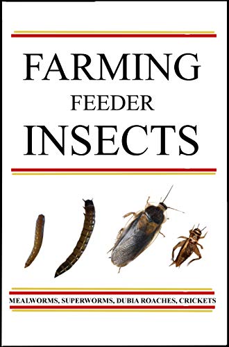 Farming Feeder Insects A Guide Ebook Jeff Jech Amazon In
