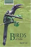 Birds of Delhi Birds of Delhi