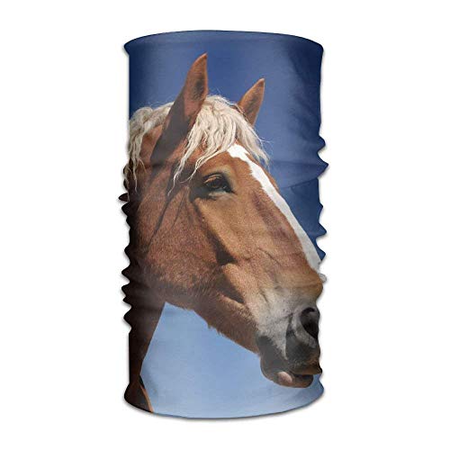 Beanie Horse Face Sky Mane Eyes Multifunctional Bandanas Men Women Sweatband Elastic Turban Headwear Headscarf