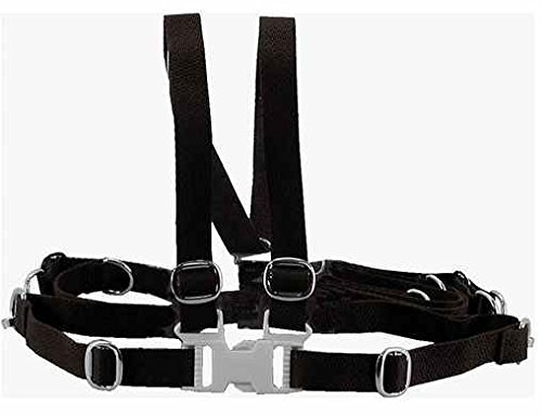 Asmi Laufgurt Sicherheitsgurt Anschnallgurt Kinderwagen / Hochstuhl schwarz