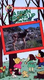 Preisvergleich Produktbild Fawn Grows Up in the Forest [VHS]
