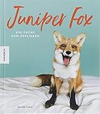 Image de Juniper Fox: Ein Fuchs zum Verlieben (Die Geschichte einer Freundschaft zwischen Mensch und Tier)
