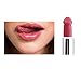 Produktbild Huihong KAKAXI Lippenstift Lipgloss Penis Langlebig Feuchtigkeitsspendende Wasserdichte Non-Stick Cup Lippenstift Make-up Kosmetik 8 Farben (Sexy-H)