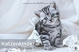 Katzenkinder Posterkalender 2013 by 
