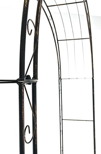 CLP Rosenbogen SUN Eisen pulverbeschichtet ( Metall ) Breite 160, Tiefe 35 cm, Höhe 260 cm bronze - 6