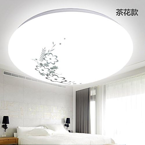 Cttsb ceiling lamp Modern simple creative fashion personalized ceiling light Round led round poncho all white aisle indoor project models camellia 24W-41CM stepless light transfer to send remote control
