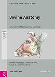 Image de Bovine Anatomy: An Illustrated Text, Second  Edition