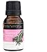 Soulflower Rosemary Pure Aroma Essential Oil, 15ml RS.315.00