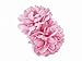 2 x Girls Pink Flower Ponios/ Hair Elastics/ Bobbles