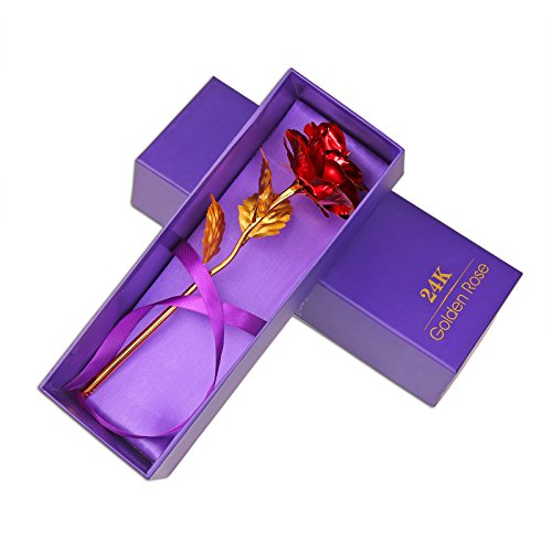 Rose 24 K vergoldet Rose Blume mit Geschenk-Box Beste Geschenk für Valentinstag Muttertag Weihnachten Geburtstag Golden/Rot/Lila/Blau – rot - 9