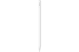 Apple Pencil (USB C): Precisión milimétrica, Baja latencia y sensibilidad a la inclinación para Tomar apuntes, Dibujar y Firmar Documentos. Se acopla de Forma magnética y se enlaza y Carga por USB-C