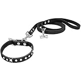 Dogs Kingdom 25,4cm -16.5