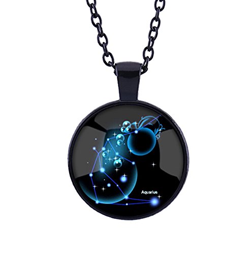 DELEY Vintage Negro Largo de la Cadena de Estrella de 12 Constelación de Vidrio Cabochon Cúpula Joya Colgante de Collar Acuario