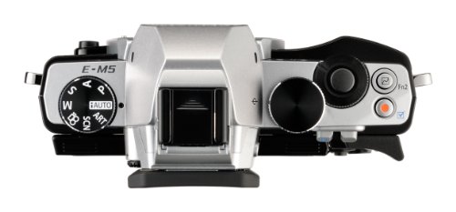 Imagen 2 de Olympus OM-D - Silver