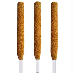 LIVEONCE - 1 feet Moss and Coir Stick for Indoor, House and Plant Creepers Support (Brown, 1 ft) -3 Pieces