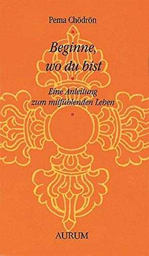 Beginne, wo du bist: Eine Anleitung zum mitfühlenden Leben
