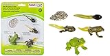 Set Ciclo della rana Safari ltd cod. 269129