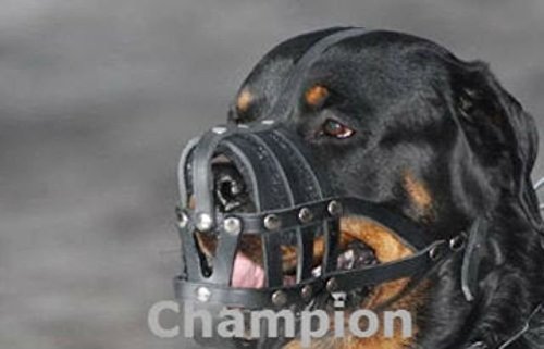 Light-leather-Dog-Muzzle-for-Rottweiler-Mastiff-and-other-similar-snout--