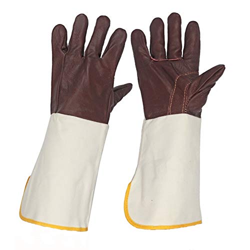 spécifications 10 Paires de Gants de Soudeur en Cuir forgé résistant à la Chaleur/au feu, Mitaines pour Support pour Gril/Pot/Soudeur TIG/MIG/cuisinière/cheminée/Gant de manutention pour Barbecue/ANI