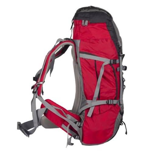 Wildcraft Alpinist 55 Ltrs Red Rucksack (8903338000907) - Image 9