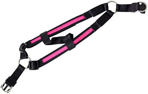 LED Dog Harness collar luminous Harness in the colour pink M of the brand PRECORN
