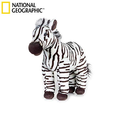 Venturelli - Zebra Media