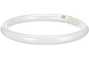 Osram Lumilux - Casquillo para lámpara fluorescente, L 32W/ 840, blanco frío, circular, 2250lm, 9000 h