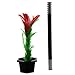 Produktbild Hemore Comedie Fleur Baton Magique Astuce Enfant Spectacle Prop