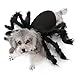 Produktbild Skxinn Halloween Kostüm für Hund Katze, Schwarz Large Große Spinne Haustier Cosplay Lustige Bekleidung Kleid Haustier Filz Tuch Kleidung für Halloween Weihnachten Holiday Party
