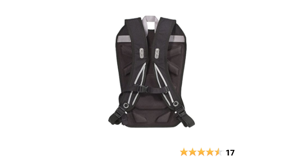 ortlieb carrying system