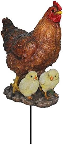 Vivid Arts Plant Pal Range - Hen & Chicks