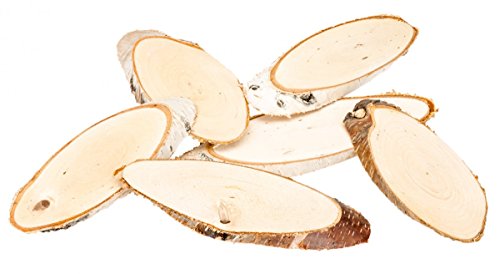 NaDeco® Birkenscheiben oval 15-20cm 6 Stück | ovale Baumscheiben | Große Birkenscheiben | Birkenstamm Scheiben | Birkenholz Deko | Holzscheiben zur Dekoration