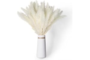 KAOHONG Natural White Pampas Grass 40pcs 45CM Fluffy and Swinging Dried Pampas Grass DIY Boho Plant for Wedding Flower Arrangements Home Décor, 225/5