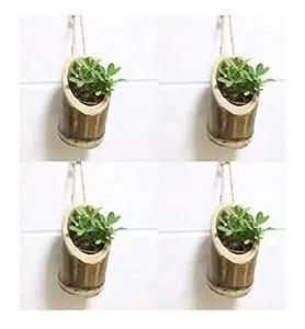 COIR GARDEN Wood Planter with Rope, 17-20cm, Pack of 4