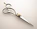 Left Handed Hair Scissors / Hairdressing Left Hand Scissors - 5.5 inch (Silver(Chrome))