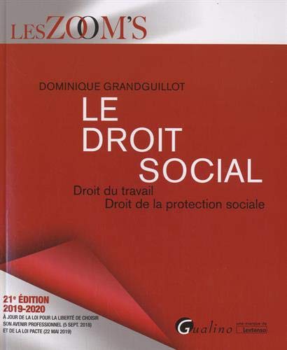 Télécharger Le droit social : Droit du travail ; Droit de la protection sociale PDF Ebook En Ligne