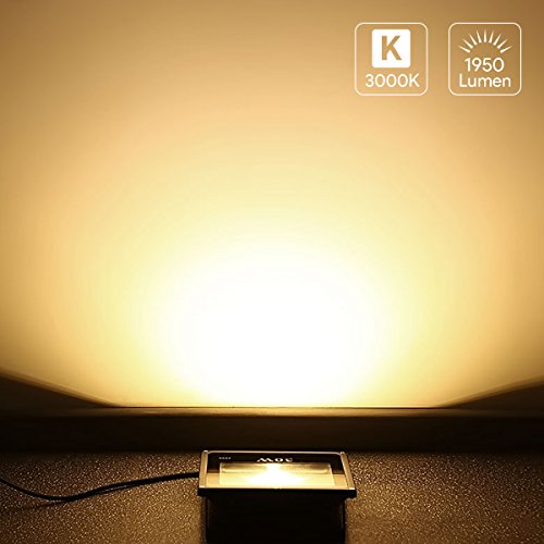 LE 30W Ultraheller LED Fluter, Ersatz für 75W Hochdrucknatriumlampe, wasserdicht, 1950lm, warmweiß, LED Flutlicht, LED Außenleuchten, LED Flutlichtstrahler, LED Strahler, LED Scheinwerfer - 2