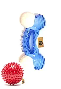 The Pets Company, Rubber Spiked Ball Dog Chew Toy and Small Rubber Plastic Dog Chew Bone Toy