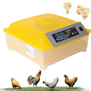 Ndeal | Incubators, Dual Power Fully Automatic 48 Egg Intelligent Digital Temperature/Humidity Control for Poultry Reptile Hatcher