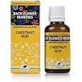 New Life Bach Flower Chestnut Bud (30ml)