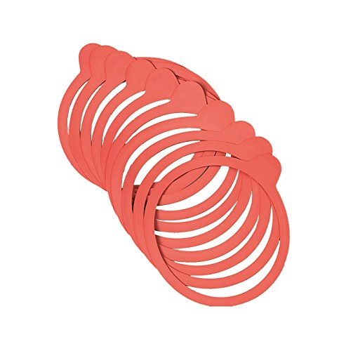 GUARNIZ.Vaso WECK MM.100 PZ.10 094