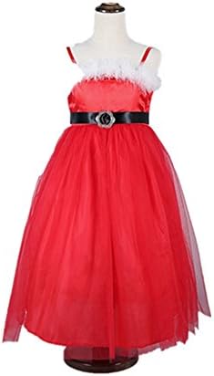 RENZE Girls Princess Dress cute Long Dresses Baby Girl Tulle Lace Christmas (130cm)