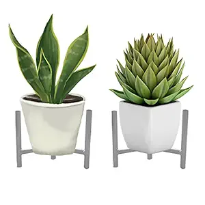 ROYAL WAVES Metal Plant Stand for Indoor Outdoor,Mid Century Modern Planter Stands, Flower Pot Holder Stand Home Decoration - (White, Pack of 2)