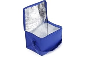 Shentian Small Cool Bag Cooler Box I 3656 Blue for 6 Cans