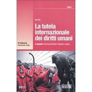 La tutela internazionale dei diritti umani