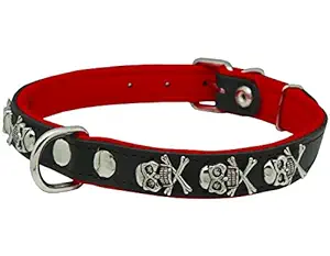 Real Leather Skull Studded Padded Dog Collar (15.5