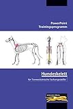 Hundeskelett - für Tiermedizinische Fachangestellte: PowerPoint Trainingsprogramm (CD-ROM und Begleitheft) by 