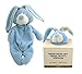 Price comparison product image Wooly Organic Bunny Comforter with Dummy Holder (Suitable from Birth, Blue)