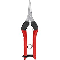 FELCO 21 Élagueur Bypass Universel Professionnel, Coupe