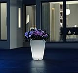 Betrieben mit 48 LED`s durch eine Fernbedienung (Reichweite bis zu 6 Meter,  mit wiederaufladbarem Lithium-Ionen-Akku und Ladegerät)